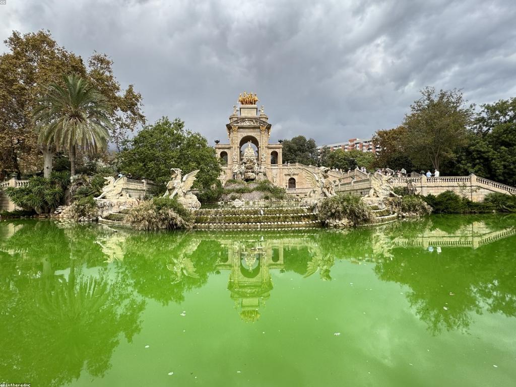 ការផ្តល់ឱ្យនូវភាពជឿជាក់និងការត្រួតពិនិត្យ