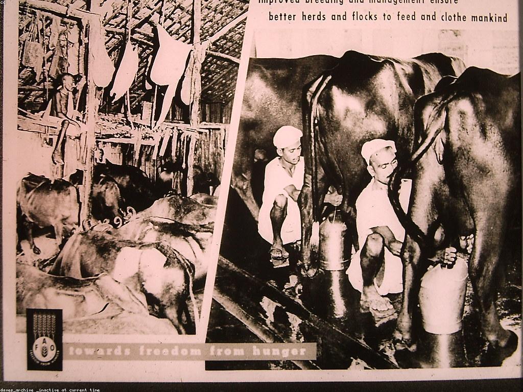 វិធីសាស្ត្រទាញយក: របៀបដើម្បីឈ្នះបញ្ហានៅក្នុងជីវិត