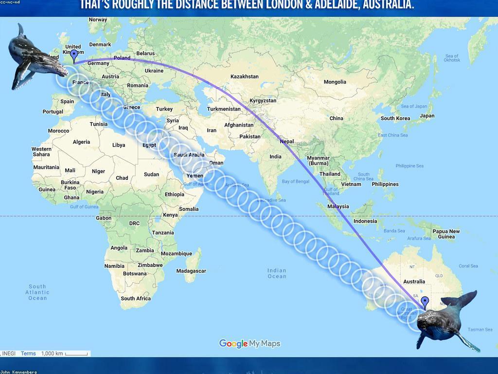 វិធីសាស្ត្រដែលមានប្រសិទ្ធភាពក្នុងការទាក់ទាញអតិថិជន