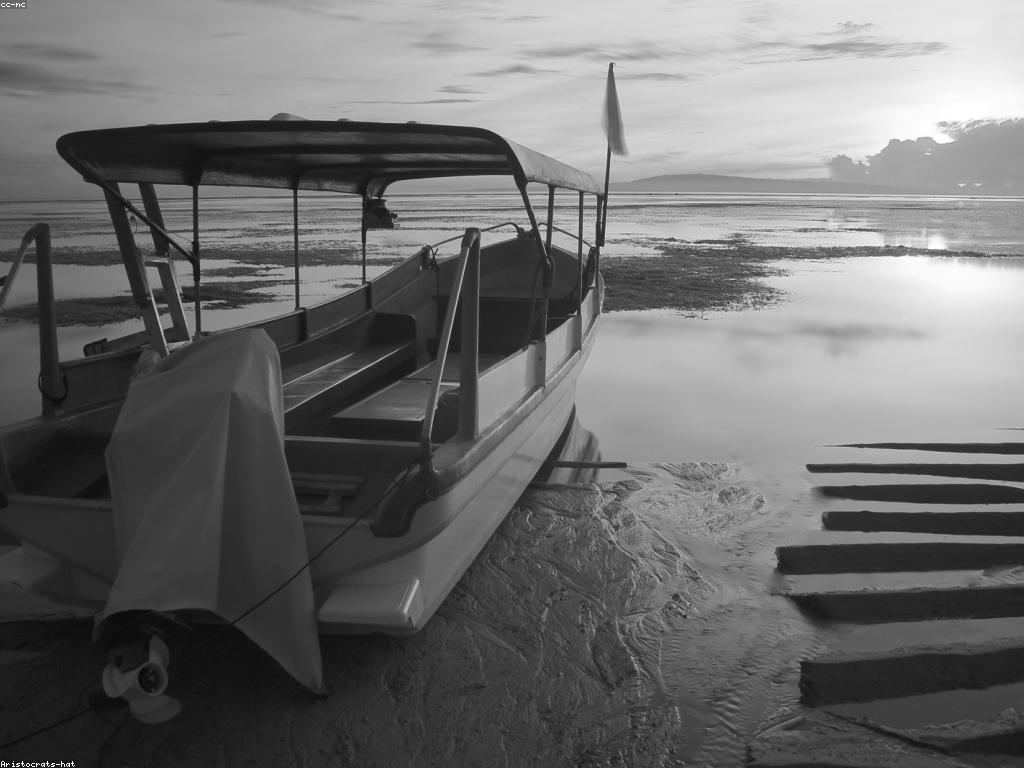 ការផ្តល់ឱ្យនូវភាពជឿជាក់និងការត្រួតពិនិត្យ