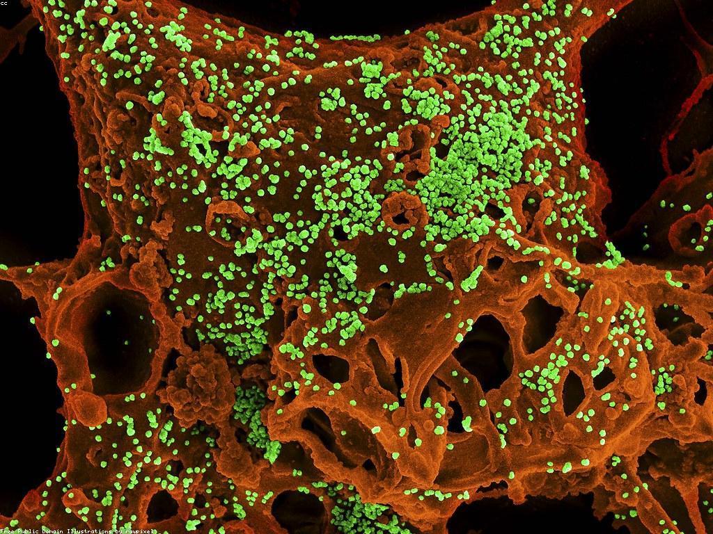 សារៈសំខាន់នៃការយល់ដឹងអំពីការពារសុវត្ថិភាព